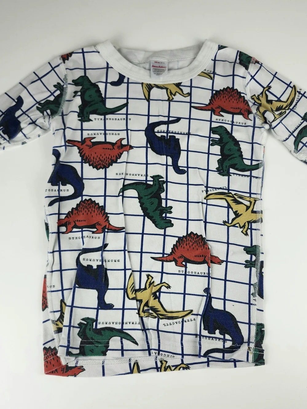 Hanna Andersson Pajama Set with Red Green Blue Yellow Dinosaurs